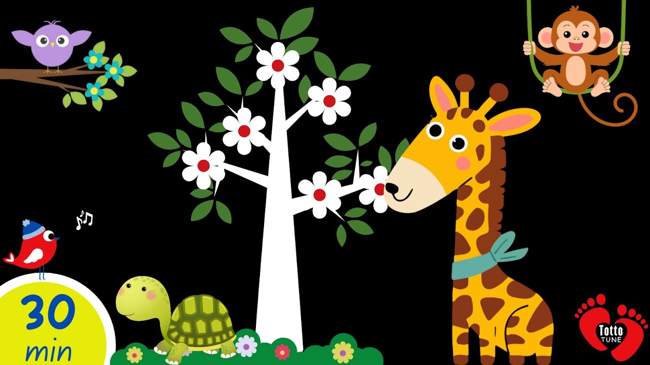Calming Baby Sensory | Cute Safari Animals + Gentle Music