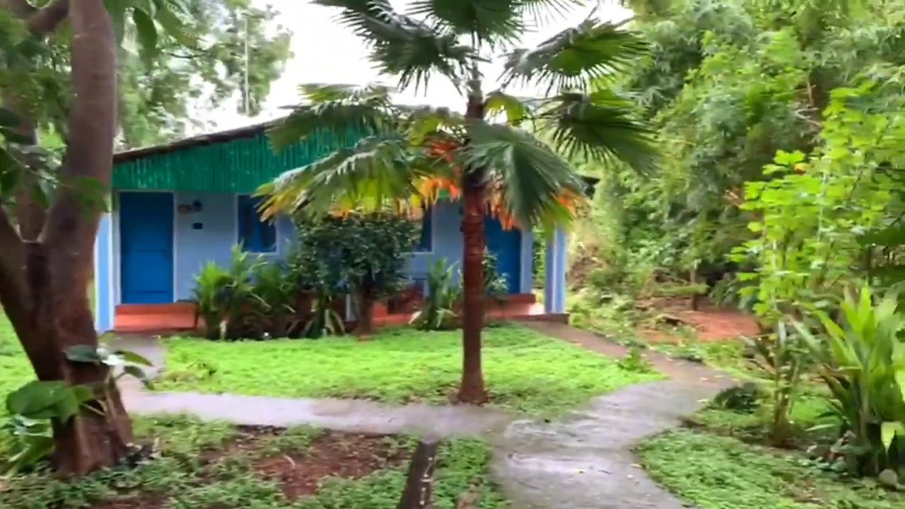 Sunshine Village YouTube