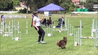 Rthe agility