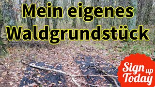 Eigenen Wald Gekauft Privatwald