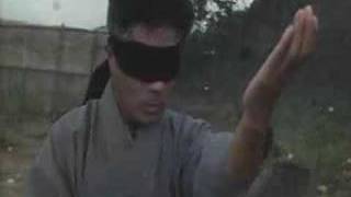Jet Li Vs 6Th Dan Karate Master
