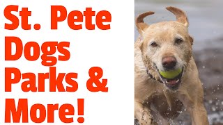 DOG BEACH ST PETE & DOG PARK ST PETERSBURG FL. FORT DE SOTO DOG BEACH. DOG BAR ST PETE. ST PETE VET