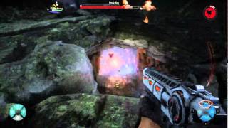 Evolve - Caira 1