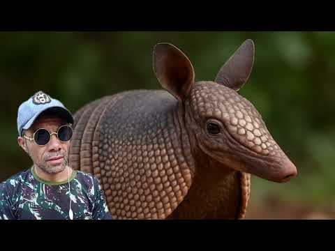 Comrade Who Has Conscience Is Another Level 