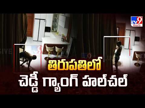 Tirupati Cheddi Gang Video: తిరుపతిలో చెడ్డీ గ్యాంగ్ హల్‌చల్‌ - TV9 - TV9