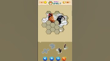 Jigsaw Hexa Block : Level 7 gameplay walkthrough