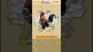 Jigsaw Hexa Block : Level 7 gameplay walkthrough screenshot 3