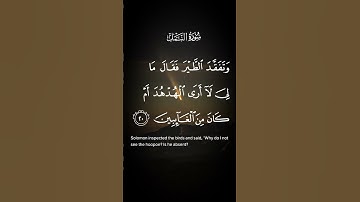 سورة النمل وتفقد الطير فقال مالي لاأرى الهدهد ام كان من الغائبين الاية ٢٠ إلى ٢١