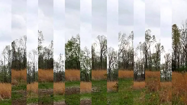 Real estate for sale in Jacksonville Arkansas - MLS# 15009977