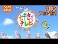 セキセイテレビ2【セキセイインコ】【#31】(6羽がアニメ化!)