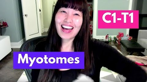 Myotomes (C1-T1) | OT MIRI