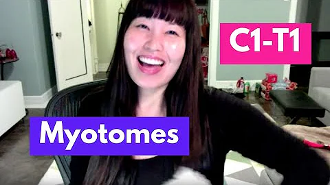 Myotomes (C1-T1) | OT MIRI