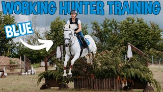 Download Lagu WORKING HUNTER TRAINING WITH BLUE! MP3 Download Lagu WORKING HUNTER TRAINING WITH BLUE! MP3