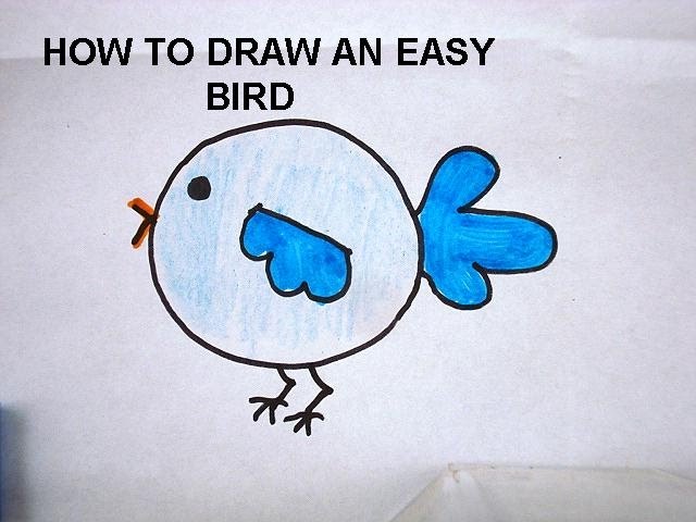 Learn to Draw Birds  Easy drawings, Art drawings for kids