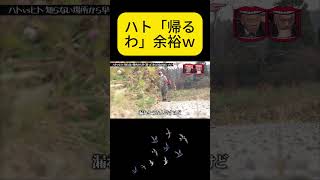 ハト勝つ?クロちゃん勝つ?どっちだと思う?コメントで予想してw #水曜日のダウンタウン