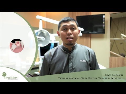 Halo sobat lifestyleOne Terima kasih sudah menonton video dari lifestyleOne. Obrolan seputar gaya hi. 