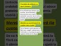 Fructe de pădure cu iaurt grecesc – gustare echilibrată și hrănitoare
