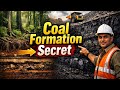 कोयला कैसे बना? | Coal Formation Process | In-Situ और Drift Theory Explained