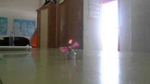 Cucarachas Robot IES San Juan Bautista-Navas de San Juan-