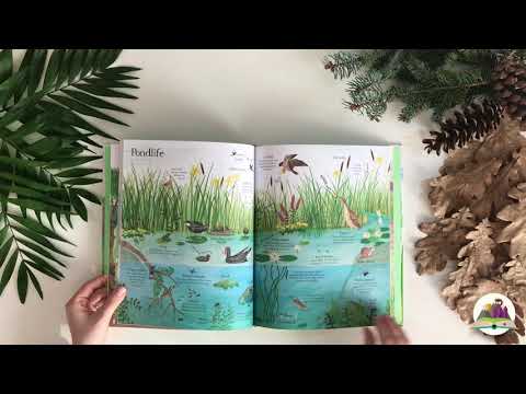 Usborne: Big picture book Outdoors Usborne: Big picture book Outdoors