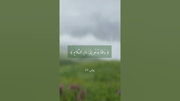 وَاللَّهُ يَدْعُو إِلَى دَارِ السلَام وَيَهدِي من يَشاء إِلَىٰ صِرَاطٍ مُّستَقيم﴾القارئ ياسر الدوسري