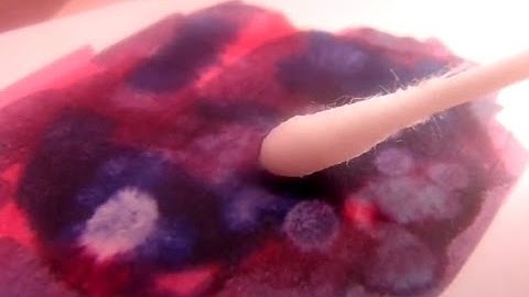 TUTORIAL: How to make the 