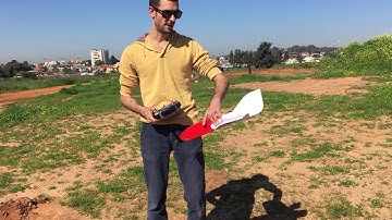 Build Ruary Maiden FT Goblin