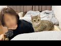 結局、母親よりも妹の方が好きな猫!