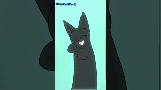 Black cat || Tia Tamera - Doja Cat