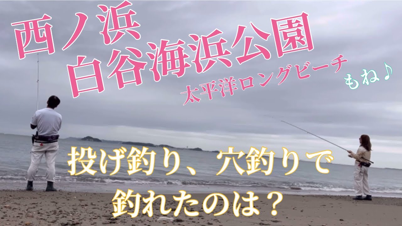 渥美半島で投げ釣り🎣　2025.10.18