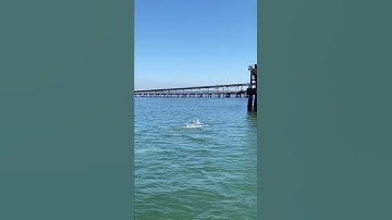 Pink Floyd Run Like Hell