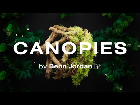 Introducing Canopies by Benn Jordan