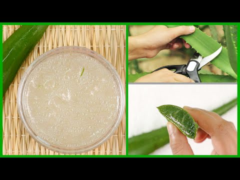 How to Make Aloe Vera Gel at Home | Easiest Way