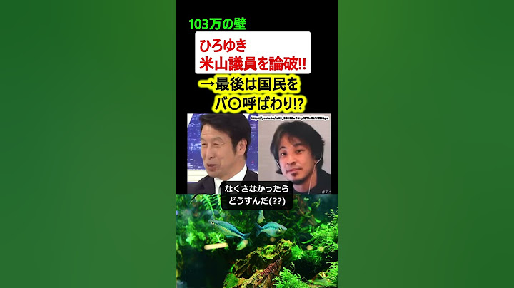 ひろゆき、米山議員を論破!! 国民を馬鹿にした議員の末路がコチラ【103万の壁 政治ニュース】