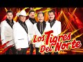 LOS TIGRES DEL NORTE MIX 2026 🎶 CORRIDOS Y NORTEÑAS VIEJITAS CANCIONES DE LOS TIGRES DEL NORTE