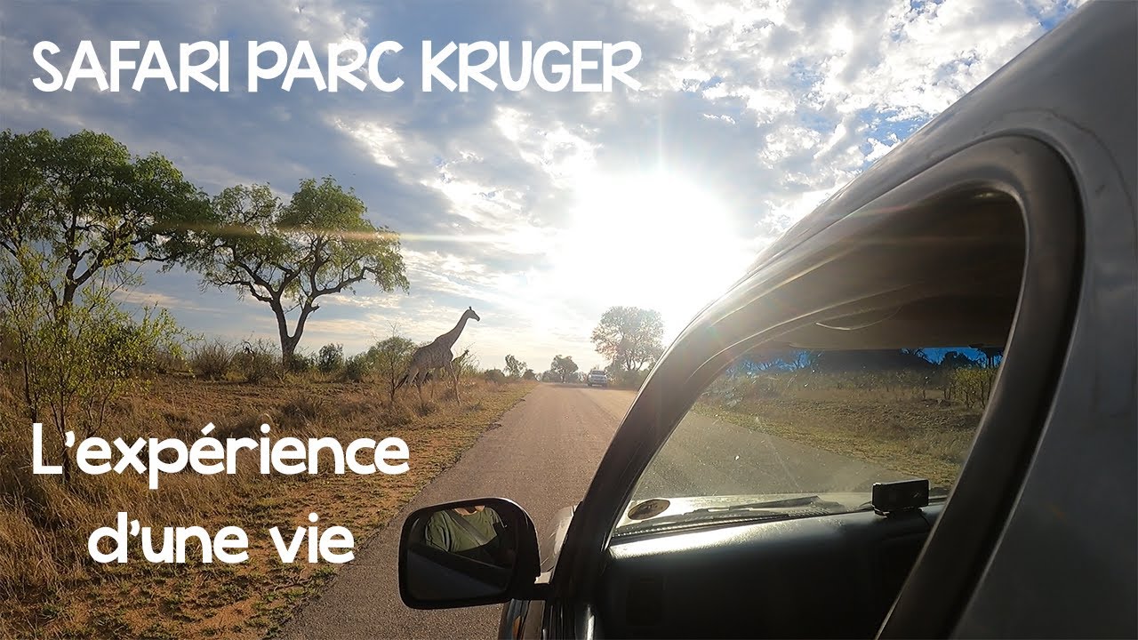 J'AI FAIS UN SAFARI À 21 ANS !!!