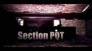 Introducing: Section PQT | by zSKZ