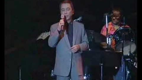 Bruce Lee &Fist of Fury by Mike Remedios.