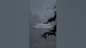 و اصبر و ما صبرك إلا بالله و لا تحزن عليهم و لا تك في ضيق مما يمكرون || القارئ: اسلام صبحي