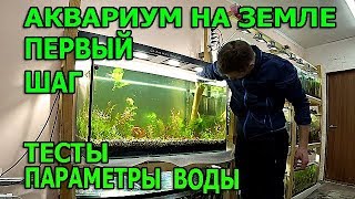 Посадка растений в аквариум на земле Посадка растений в аквариум на земле
