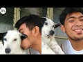 Kiss Your Dog On The Head And Record Their Reactions