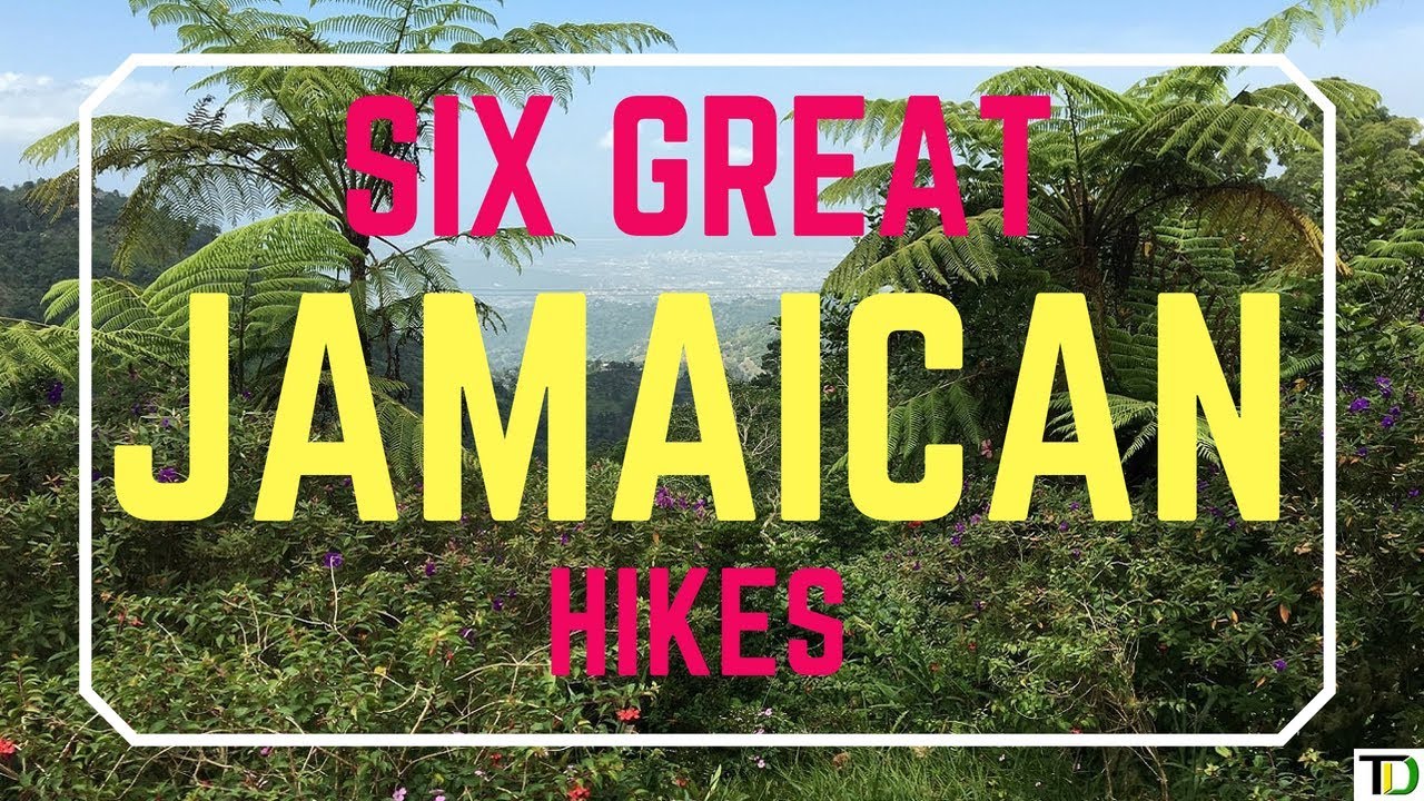 SIX great HIKES to TACKLE in JAMAICA | Teach Dem