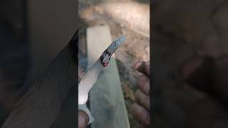 Rutiger Fire Roll | Entry Level Fire By Friction #shorts