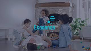 Ecosense Key Values