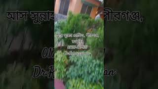 ভন্ডো পীরের আস্তানা, জীবন মহল, দিনাজপুরে। দরবার শরীফের বাহিরের দৃশ্য এটা।