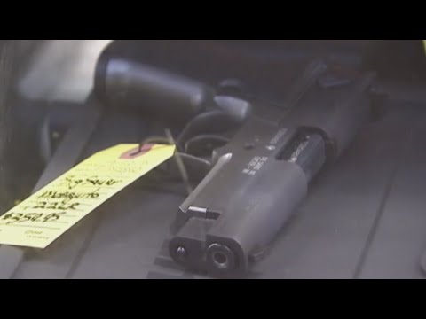 Controversial Florida gun law to be reviewed by state Supreme Court