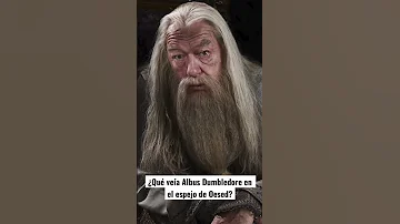 ¿Qué vio Albus Dumbledore en el Espejo de Erised?