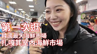 釜山必逛的扎嘎其海鮮市場到底賣什麼？第一次逛也太大了吧！