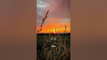 قل ادعوا الله أو ادعوا الرحمن | تلاوة لأواخر سورة الإسراء للشيخ عبدالله الموسى