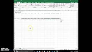 Excel Module 1 Entering Cell Data